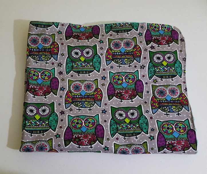 We Cee Style Owl Baby Blanket (2)